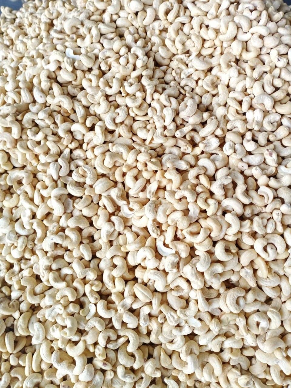 Why Vietnam Is the World’s Leading Exporter of Cashew Kernels ?